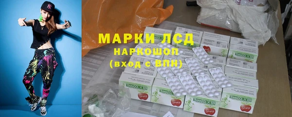 сатива Володарск