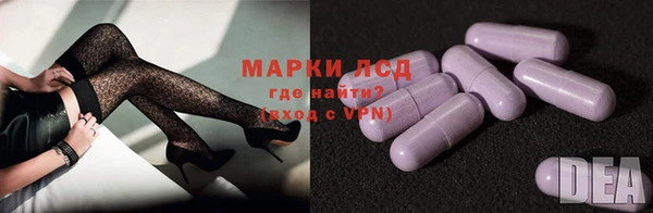 сатива Володарск